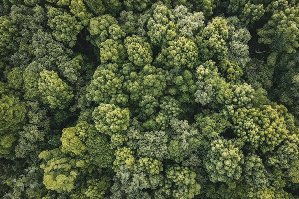 Assurance habitation : demandez un devis pour avoir plus de transparence