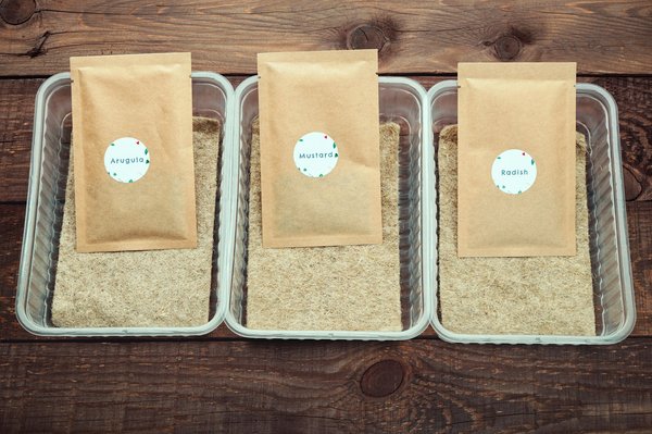 Pourquoi choisir une enveloppe plastique colis écologique?