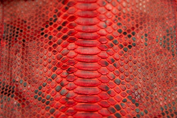 Réalisez vos projets avec succès grâce à l'agence python